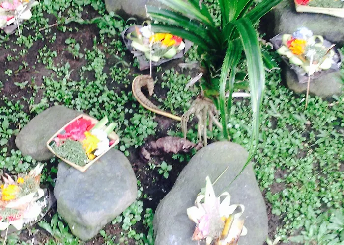 Wina 4* Ubud